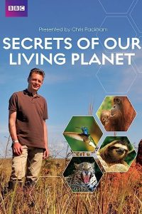 Secrets.of.Our.Living.Planet.2012.S01.720p.Blu-ray.DTS.x264-DON – 9.6 GB