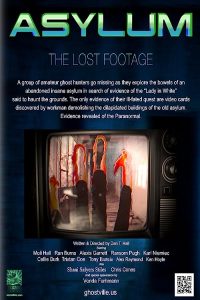 Asylum.The.Lost.Footage.2013.1080p.Amazon.WEB-DL.DD+2.0.x264-QOQ – 3.5 GB