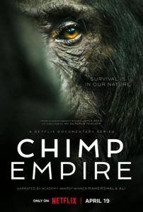 Chimp.Empire.S01.2160p.NF.WEB-DL.DDP5.1.Atmos.DV.H.265-FLUX – 25.9 GB