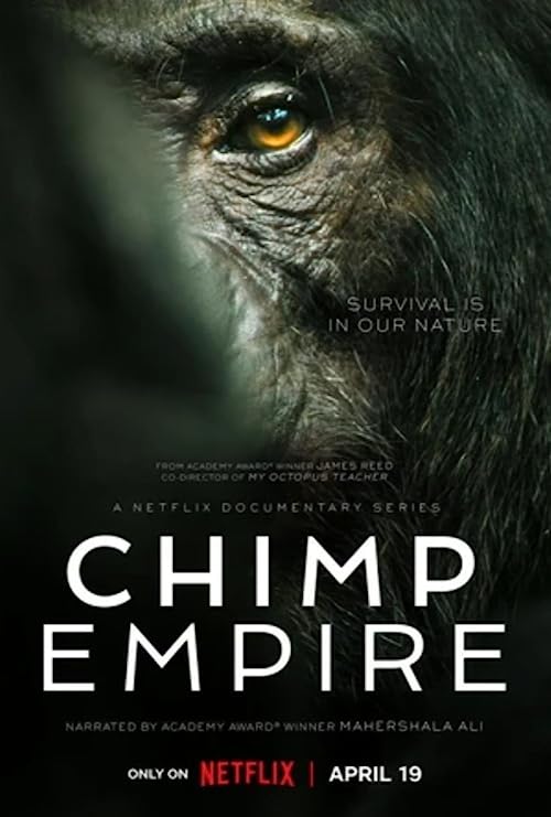 Chimp.Empire.S01.2160p.NF.WEB-DL.DDP5.1.Atmos.DV.H.265-FLUX – 25.9 GB