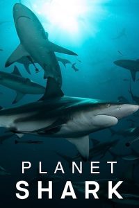 Planet.Shark.S01.1080p.AMZN.WEB-DL.DDP2.0.H.264-NTb – 8.2 GB