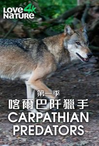 Carpathian.Predators.S01.1080p.AMZN.WEB-DL.DDP2.0.H.264-NTb – 6.1 GB