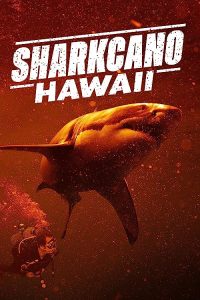 Sharkcano.Hawaii.2023.1080p.DSNP.WEB-DL.DDP5.1.H.264-FLUX – 2.6 GB