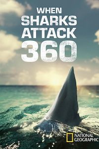 When.Sharks.Attack.360.S01.720p.DSNP.WEB-DL.DD+5.1.H.264-playWEB – 7.8 GB