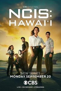 NCIS.Hawaii.S02.2160p.AMZN.WEB-DL.DDP5.1.H.265-NTb – 100.1 GB