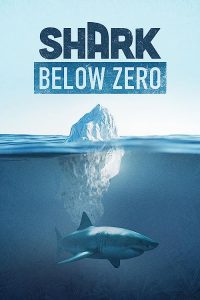 Shark.Below.Zero.2023.720p.DSNP.WEB-DL.DDP5.1.H.264-FLUX – 1.3 GB
