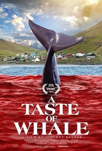 A.Taste.of.Whale.2022.720p.WEB-DL.AAC2.0.H.264-ZTR – 1.4 GB