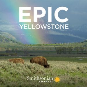 Epic.Yellowstone.S01.720p.AMZN.WEB-DL.DDP2.0.H.264-NTb – 6.9 GB