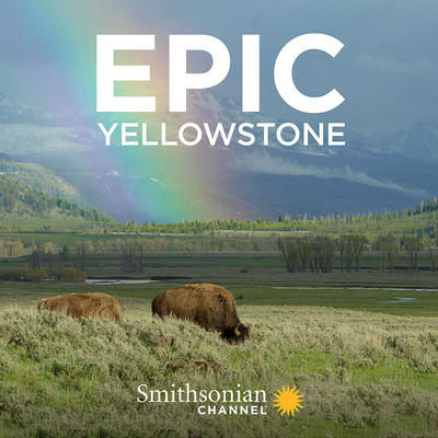 Epic Yellowstone