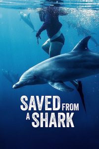 Saved.from.a.Shark.2023.720p.DSNP.WEB-DL.DDP5.1.H.264-FLUX – 1.4 GB