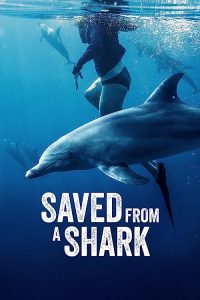 Saved.from.a.Shark.2023.1080p.DSNP.WEB-DL.DDP5.1.H.264-FLUX – 2.6 GB