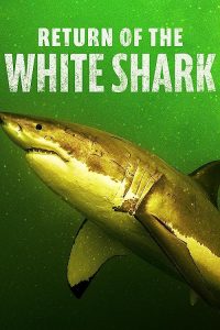 Return.of.the.White.Shark.2023.720p.DSNP.WEB-DL.DDP5.1.H.264-FLUX – 1.3 GB