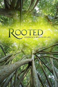 Rooted.S01.1080p.AMZN.WEB-DL.DDP2.0.H.264-NTb – 14.8 GB