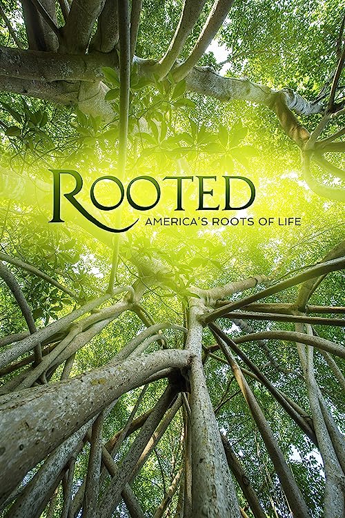 Rooted