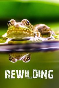 Rewilding.S01.1080p.AMZN.WEB-DL.DDP2.0.H.264-NTb – 9.3 GB