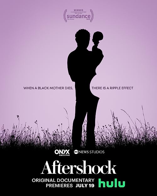 Aftershock.2022.1080p.DSNP.WEB-DL.DDP5.1.H.264-KHEZU – 4.4 GB