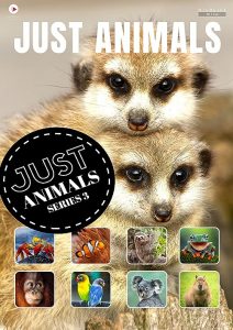 Just.Animals.S01.1080p.AMZN.WEB-DL.DD.2.0.H.264-playWEB – 35.9 GB