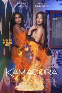 Kamadora.2023.1080p.VMAX.WEB-DL.AAC.x264-MARCOSKUPAL – 2.1 GB