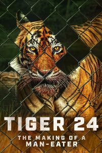 Tiger.24.2022.1080p.NF.WEB-DL.DD+5.1.H.264-playWEB – 4.9 GB