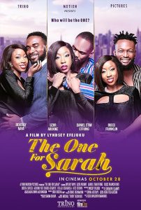 The.One.for.Sarah.2022.1080p.NF.WEB-DL.DDP5.1.H.264-FLUX – 3.8 GB