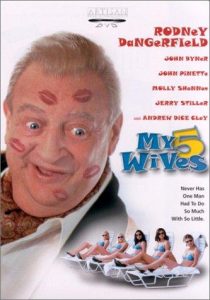 My.5.Wives.2000.720p.WEB.H264-DiMEPiECE – 4.2 GB
