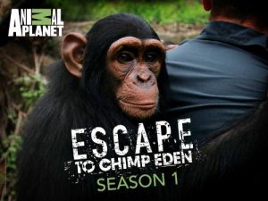 Escape.to.Chimp.Eden.S01.720p.DSCP.WEB-DL.AAC2.0.x264-WhiteHat – 7.2 GB