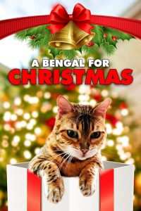 A.Bengal.For.Christmas.2023.1080p.AMZN.WEB-DL.DDP2.0.H.264-OWiE – 2.4 GB