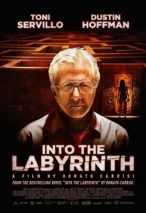 Into.The.Labyrinth.2019.1080p.WEB.H264-CBFM – 4.9 GB