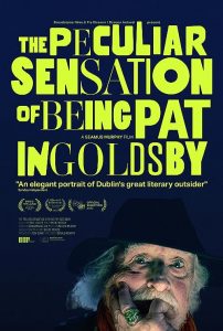 The.Peculiar.Sensation.Of.Being.Pat.Ingoldsby.2022.1080p.WEB.H264-CBFM – 4.1 GB