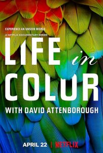 Attenboroughs.Life.in.Colour.S01.2160p.NF.WEB-DL.DDP5.1.HEVC-HHWEB – 12.6 GB