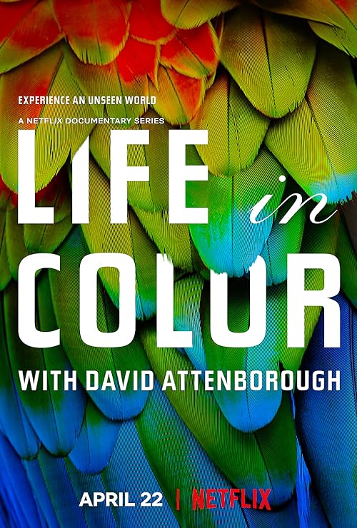 Life in Colour