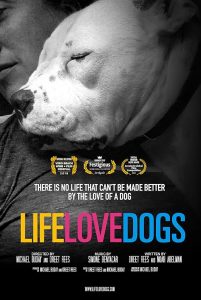 Life.Love.Dogs.2019.1080p.WEB.H264-CBFM – 5.2 GB