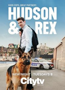 Hudson.&.Rex.S01.1080p.AMZN.WEB-DL.DDP5.1.H.264-BTN – 40.2 GB