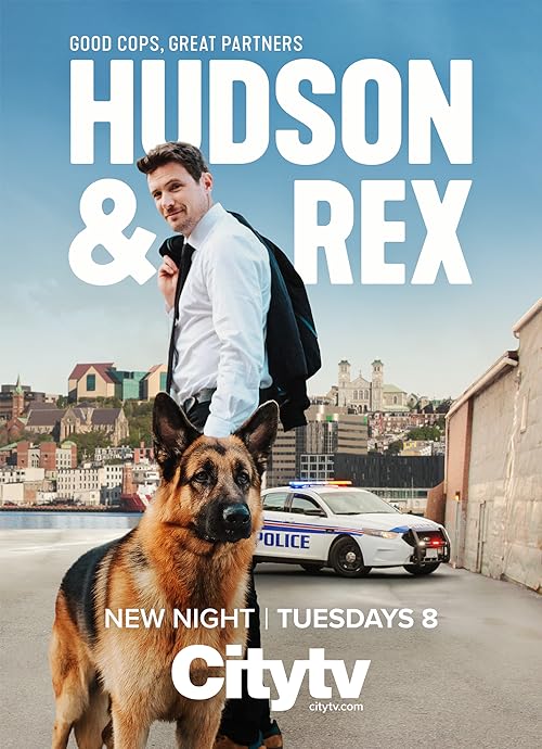 Hudson.Rex.S04.1080p.WEB-DL.AVC.AAC2-SoLo – 11.1 GB