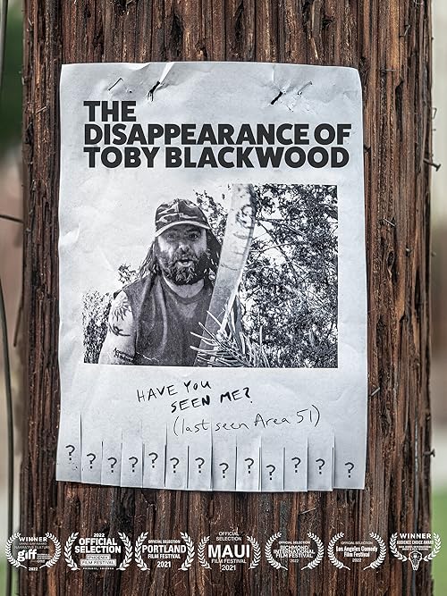 The.Disappearance.Of.Toby.Blackwood.2022.1080p.WEB-DL.DDP5.1.H264-AOC – 4.6 GB