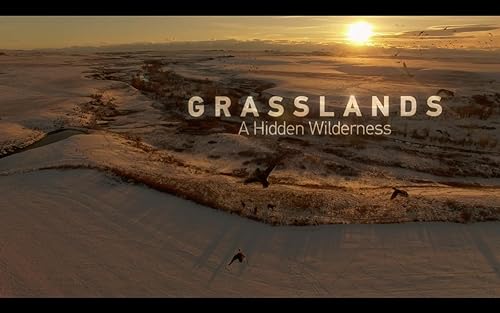 Grasslands: A Hidden Wilderness
