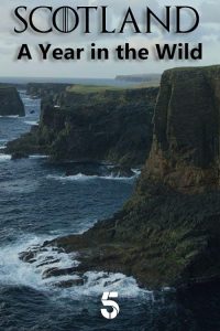 Scotland.The.New.Wild.S01.1080p.iP.WEB-DL.AAC2.0.H.264-VTM – 9.5 GB
