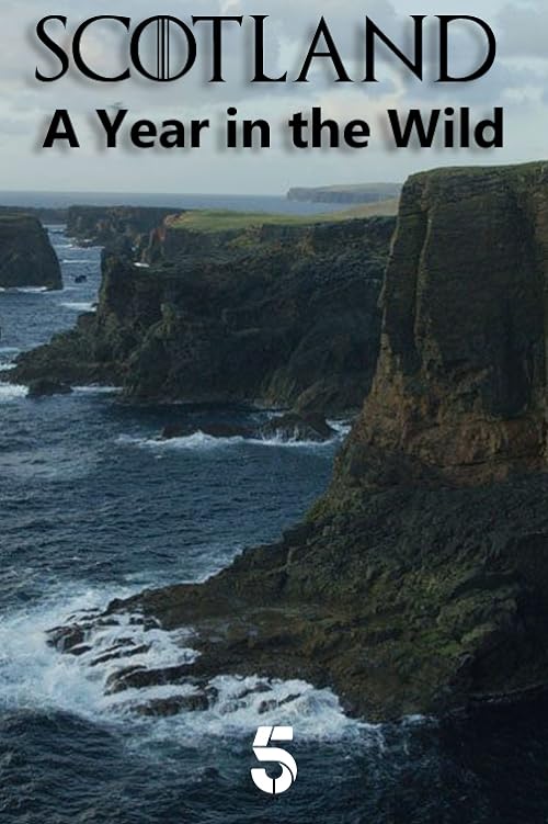 Scotland: A Wild Year
