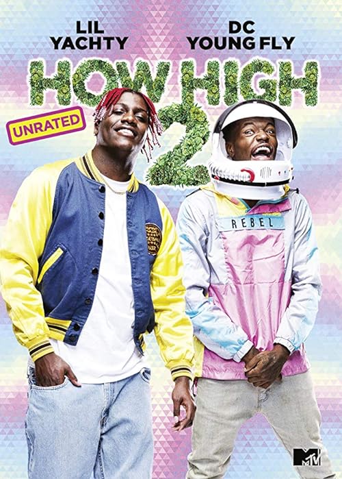 How.High.2.2019.BluRay.1080p.DD.5.1.AVC.REMUX-FraMeSToR – 13.2 GB