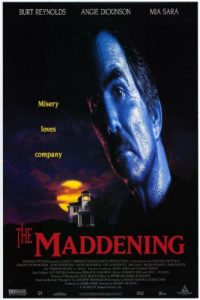 The.Maddening.1995.720p.WEB.H264-DiMEPiECE – 3.8 GB