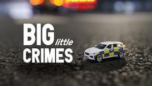 Big.Little.Crimes.S01.1080p.iP.WEB-DL.AAC2.0.H.264-BTN – 24.6 GB