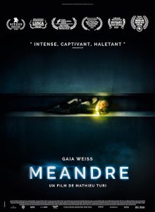 Meander.2020.SUBBED.1080p.WEB.H264-CBFM – 5.7 GB
