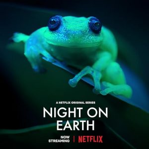Night.on.Earth.S01.2160p.NF.WEB-DL.DDP5.1.Atmos.H.265-FLUX – 23.8 GB