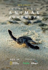 Incredible.Animal.Journeys.S01.1080p.DSNP.WEB-DL.DDP5.1.H.264-NTb – 17.5 GB