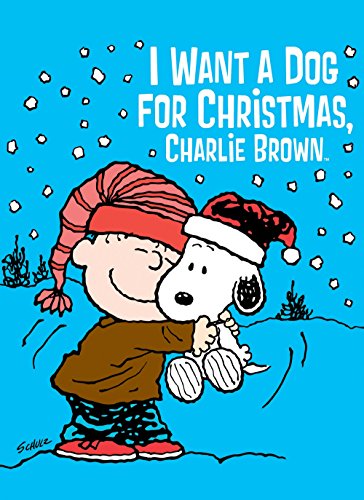 I.Want.a.Dog.for.Christmas.Charlie.Brown.2003.1080p.ATVP.WEB-DL.AAC2.0.H.264-95472 – 2.9 GB