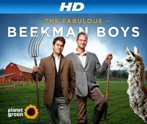 The.Fabulous.Beekman.Boys.S01.1080p.WOWP.WEB-DL.AAC2.0.H.264-SLAG – 8.5 GB