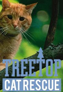 Treetop.Cat.Rescue.S01.1080p.WEB-DL.AAC2.0.X.264-BTN – 9.9 GB