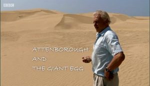 Attenborough.and.the.Giant.Egg.2011.1080i.BluRay.REMUX.AVC.FLAC.2.0-TRiToN – 14.6 GB