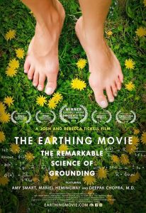 The.Earthing.Movie.2019.1080p.AMZN.WEB-DL.DDP2.0.H.264-bwrgod – 4.5 GB