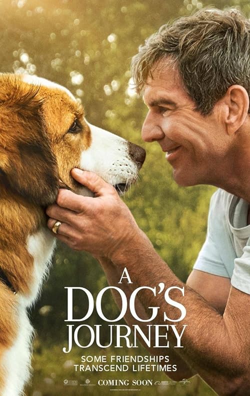 A.Dog’s.Journey.2019.1080p.Blu-ray.Remux.AVC.TrueHD.7.1-KRaLiMaRKo – 28.4 GB